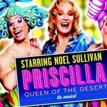 PRISCILLA QUEEN OF THE DESERT to Play Lyceum Theatre, 29 Oct - 2 Nov