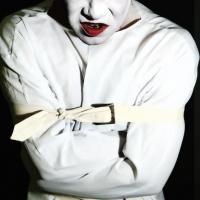 THE BLOOD BROTHERS PRESENT...BEDLAM NIGHTMARES: STRAPPED IN Set for The Brick, Now…