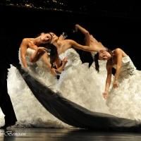 Italy's Artemis Danza Makes American Debut with TRAVIATA Tonight