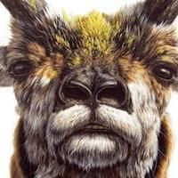 TAXONOMY Opens at Arsenal Gallery