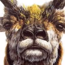 TAXONOMY Opens at Arsenal Gallery