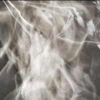 DanceWorks Launches 37th Season with FTFP's WITH A TRACE, Now thru Sept 21