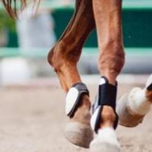 ESP to Present DANDY DICK Reading, 9/9