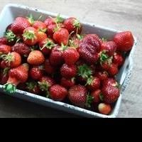 Experts: Diet Full of Colorful Vegetables, Whole Grains and Lean Protein Can Help…