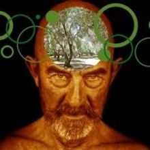 OLIVES AND BLOOD Opens 10/2 at Connecticut Repertory Theatre