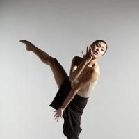 Nimbus Dance Works Announces 2014 Jersey City Spring Season, May 15-17