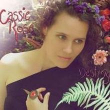 BBW Reviews: CD: DESTINY Stands Alone In Its Own Indescribable Musical Genre