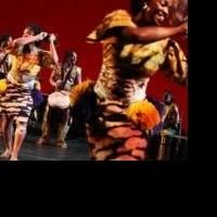 BWW Reviews: Brooklyn Academy of Music's 36th Season of DanceAfrica - Embodies Intricate Paths of Tradition and Change