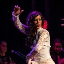 Spain's AMFlamenco Company Brings Origianl Work POESIA FLAMENCA on Tour to Five US Ci