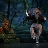 New York Theatre Ballet Presents CARNIVAL OF ANIMALS and SLEEPING BEAUTY'S WEDDING…