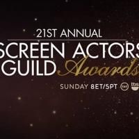 Photo Coverage: SAG Awards Red Carpet