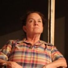 BWW Reviews: Theatre West Brings Back a Resounding VERDIGRIS