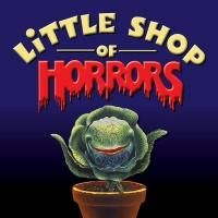 Music Theatre of Connecticut MainStage in Norwalk Presents LITTLE SHOP OF HORRORS