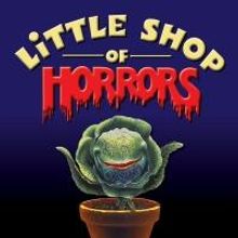 Music Theatre of Connecticut MainStage in Norwalk Presents LITTLE SHOP OF HORRORS