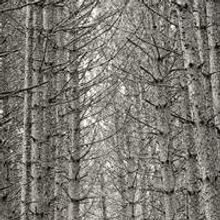 Photographs by Brett Simison in the Jackson Gallery Through 5/9