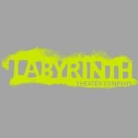Mimi O'Donnell Named Artistic Director at Labyrinth Theater Company