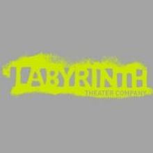 Mimi O'Donnell Named Artistic Director at Labyrinth Theater Company
