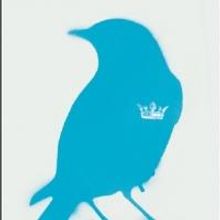 East Valley Children's Theatre to Open THE BLUEBIRD PRINCE, 2/14