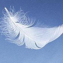 BWW Reviews: THE SEAGULL, Old-School Theatre for the Modern World