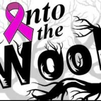 The Hope Players' INTO THE WOODS Supports Hope for Change Foundation This Weekend