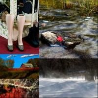 Joan Myers' ART & MOVEMENT Photo Exhibit on View at Anytime Dance Studio/Gallery of…