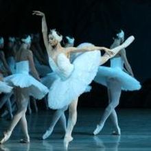 St. Petersburg Ballet Presents SWAN LAKE This Weekend