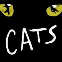 CATS Extends Through July in Toronto