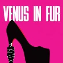 VENUS IN FUR Begins Run at Centaur Theatre Tonight