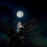 Ridgefield Playhouse to Screen the Met's RUSALKA, Starring Renee Fleming, 2/9