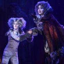 Broadway Palm's CATS Continues Through 11/23
