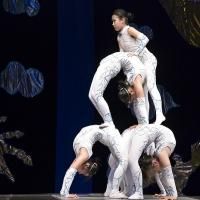 Cirque Shanghai to Return to Chicago this Summer with 'WARRIORS,' Begin. 5/21