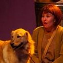 Playhouse on the Square Opens ANNIE, 11/16