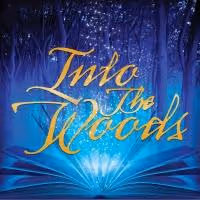 TheatreZone Sets 11th Season: INTO THE WOODS, XANADU & More