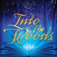 TheatreZone Sets 11th Season: INTO THE WOODS, XANADU & More