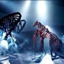 BWW Reviews: WAR HORSE Delights as it Gallops into Durham