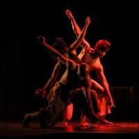 NCPA's Contemporary Dance Season Returns, Now thru Dec 19