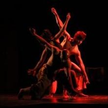 NCPA's Contemporary Dance Season Returns, Now thru Dec 19