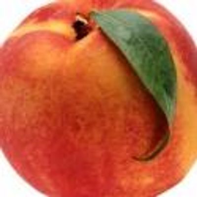 Wendy Hammers' New Play RIPE Opens at Greenway Court Theatre, 10/19