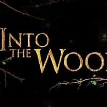 BWW Previews: Local Stars join INTO THE WOODS at Firehouse Theatre