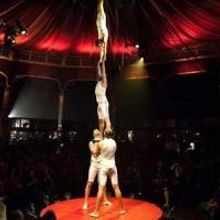 ABSINTHE by Spiegelworld to Tour Australia in 2015