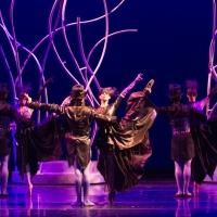 BWW Reviews: Michael Pink Conjures A Majestic Masterpiece in MIRROR, MIRROR Photo