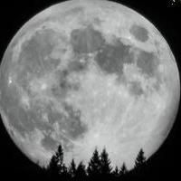 HMB Shakespeare's A MIDSUMMER NIGHT'S DREAM Begins Tonight
