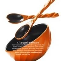 Enrico Products Spiral Collection Salad Bowl and Servers – One of Oprah's Favorite…