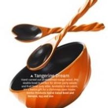 Enrico Products Spiral Collection Salad Bowl and Servers – One of Oprah's Favorite…