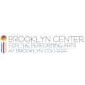 Brooklyn Center for the Performing Arts Presents HOW I BECAME A PIRATE, 1/6