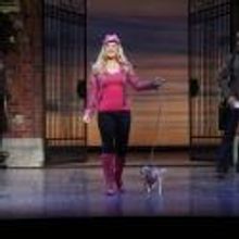 LEGALLY BLONDE Will Play in Melbourne, May 9