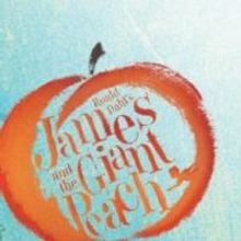 STAGE TUBE: Megan Hilty, Skylar Astin & More Record JAMES AND THE GIANT PEACH Cast…