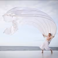 Photo Flash: Ailey II, Complexions, MOMIX, Jerry Mitchell & More Highlight the 2014…