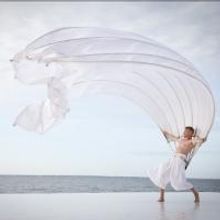 Photo Flash: Ailey II, Complexions, MOMIX, Jerry Mitchell & More Highlight the 2014…