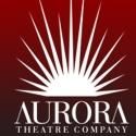 Aurora Theatre Company Presents OUR PRACTICAL HEAVEN, 1/25-3/3